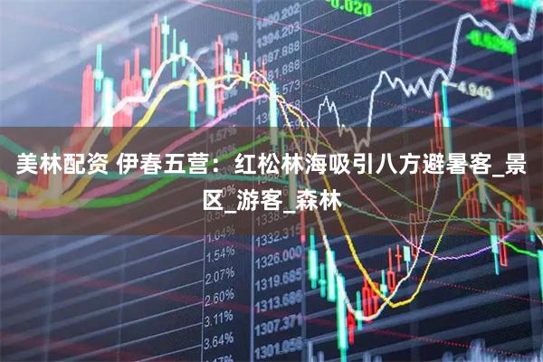 美林配资 伊春五营：红松林海吸引八方避暑客_景区_游客_森林