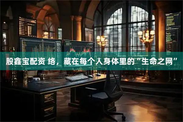 股鑫宝配资 络，藏在每个人身体里的“生命之网”