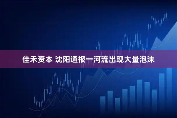 佳禾资本 沈阳通报一河流出现大量泡沫
