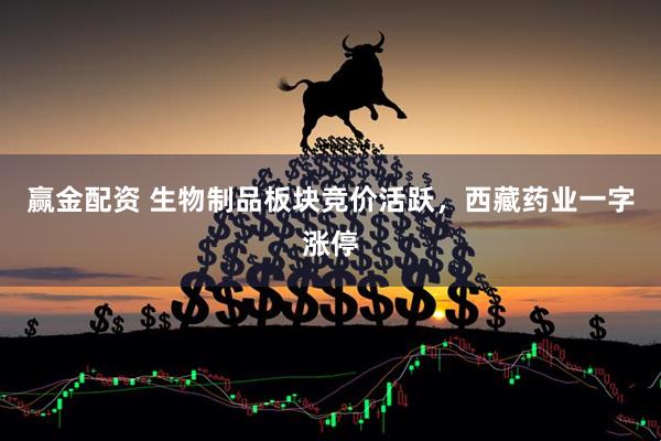 赢金配资 生物制品板块竞价活跃，西藏药业一字涨停