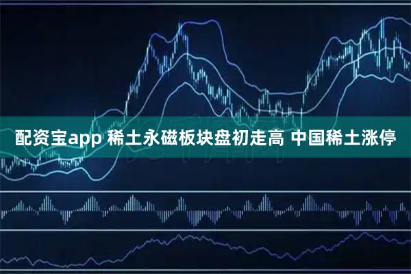 配资宝app 稀土永磁板块盘初走高 中国稀土涨停